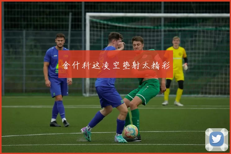 舍什科这凌空垫射太精彩