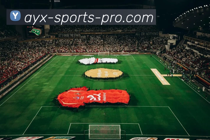 AYX体育APP 封面图